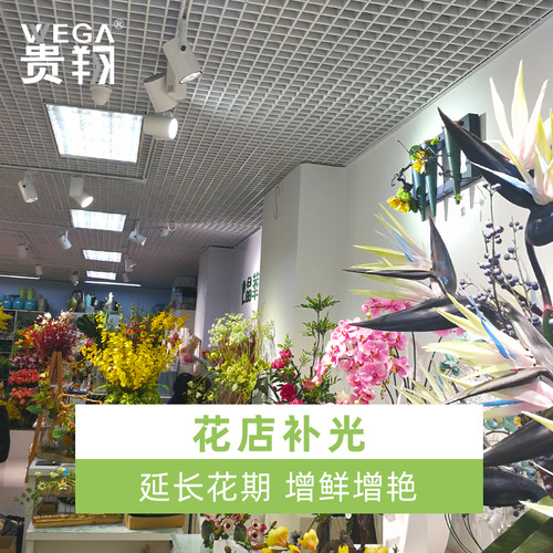 植物生长灯射灯龙舌兰雨林缸室内全光谱仿太阳光轨道植物墙补光灯 - 图0