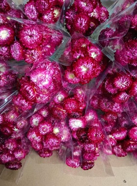 云南干花麦秆菊干北欧风小雏菊自然干花手工材料包家居装饰摆件