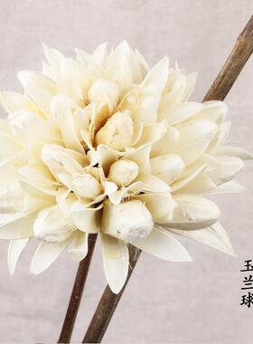 云南干花玉兰球干花花束