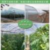 Brand new material PE greenhouse film Asiana sun protection anti-aging