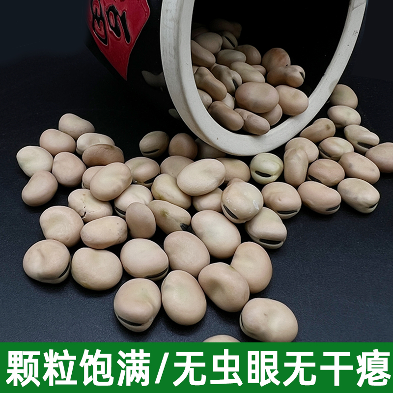 蚕豆干货生小粒蚕豆5斤散装蚕豆兰花豆蚕豆商用2023年新鲜干胡豆-图0