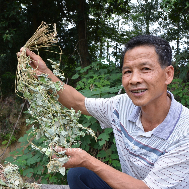 广东野生大叶金钱草500g农家生晒无硫新货广金钱草整株金钱草干货 - 图0