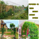 Anti-rust arch flower stand plant climbing pergola manufacturer self-sale