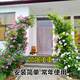 Anti-rust arch flower stand plant climbing pergola manufacturer self-sale