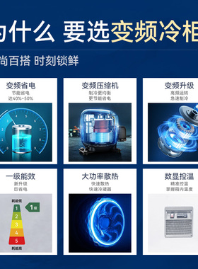 穗凌变频大容量省电卧式冷冻柜