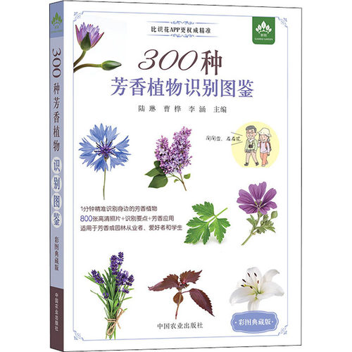全4册 209种常见花草图鉴+500种常见花卉识别图鉴+500种常见园林植物识别图鉴+300种芳香植物识别图鉴种花养花花草树木速查书籍 - 图3