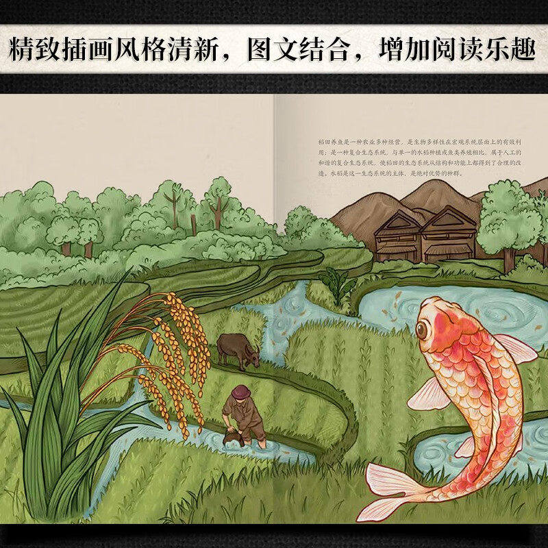 2册 食日谈:餐桌上的中国故事+食尚五千年:中国传统美食笔记 人类学到文化史在生与灭和平与战争现实与神话科学正版书籍
