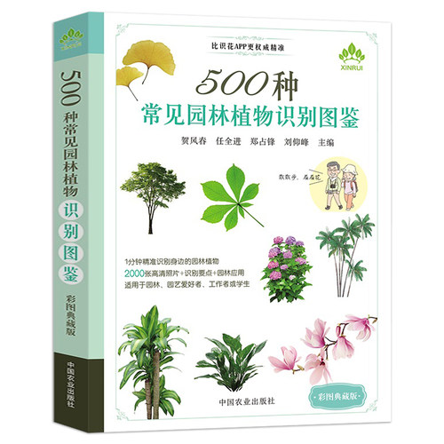 全4册 209种常见花草图鉴+500种常见花卉识别图鉴+500种常见园林植物识别图鉴+300种芳香植物识别图鉴种花养花花草树木速查书籍 - 图2