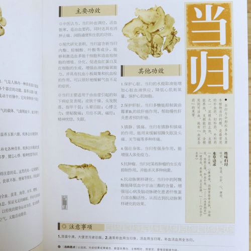 【正版包邮】养生堂本草纲目中药养生速查全书//中医养生家庭食补食疗偏方秘方养生中草药验方饮食保健书籍民间偏方大全 - 图1