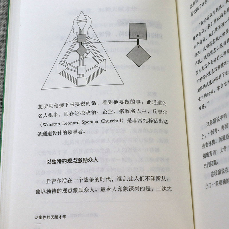 2册乔宜思活出你的天赋才华+回到你的内在权威共2册乔宜思中文人类图分析师踏上去制约之旅人类图分析入门教程书籍心理学-图3