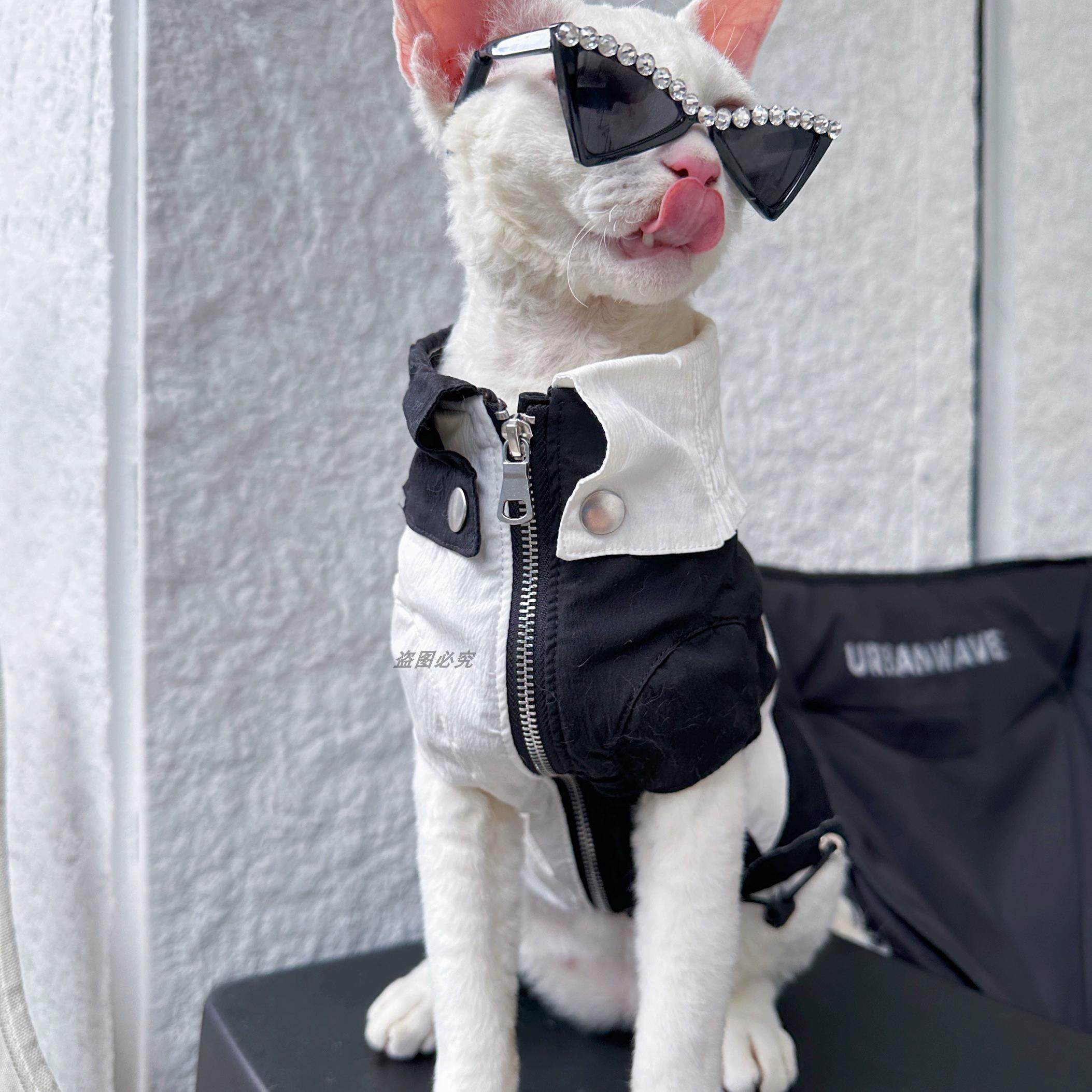 新品宠物高级眼镜狗狗闪钻泰迪约克夏马尔济斯西施三角墨镜宠物,淘宝优惠券,粉丝福利购,淘宝优惠卷