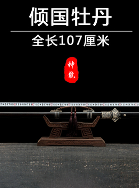 龙泉神龙宝剑倾国牡丹唐剑花纹钢唐横刀硬剑手工研磨刀剑未开刃