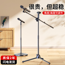 Professional microphone holder to ground live microphone holder ktv cabaret theorizer integrated vertical tripod sub