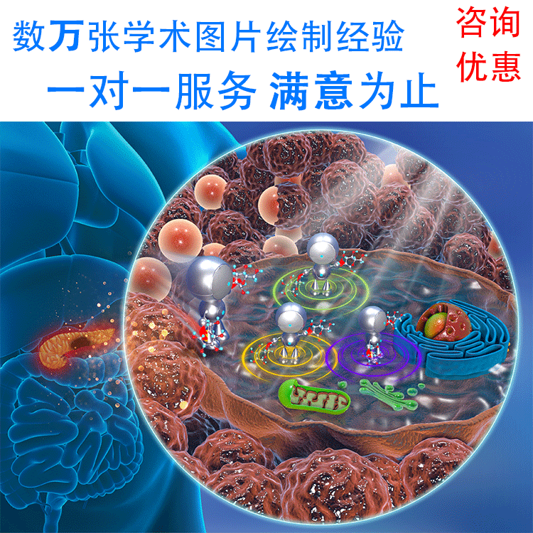 科研绘图SCI信号通路 期刊封面 TOC生物医学化学材料文章作画制图 - 图1