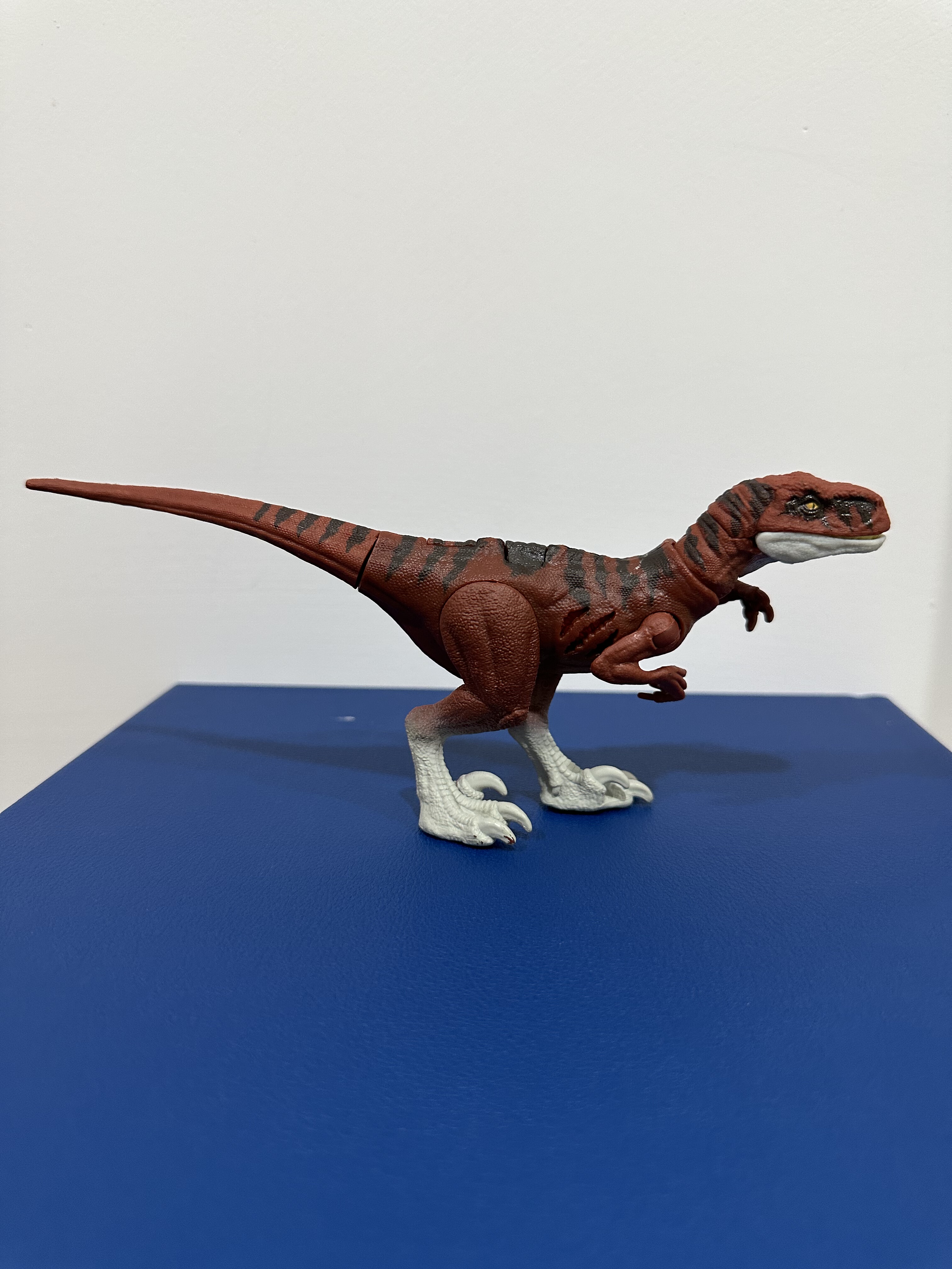 美泰战损野蛮盗龙 侏罗纪世界3 极端破坏系列暴蛮龙 枣红色,淘宝优惠券,粉丝福利购,淘宝优惠卷