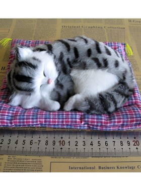 中号布垫猫皮毛工艺品