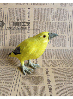 教学模型动物鸟类拍摄道具摆件