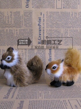 仿真松鼠小动物公仔教学认知