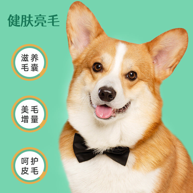 狗狗零食磨牙除臭小型犬柯基饼干 如云宠物用品狗零食