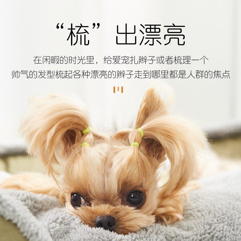 狗狗排梳子泰迪专用小型犬比熊博美开结梳美容用品不锈钢密齿排梳,淘宝优惠券,粉丝福利购,淘宝优惠卷