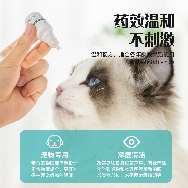 猫咪眼药水宠物眼睛红肿流泪狗狗比熊博美洗眼液抑菌消炎用滴眼液-图1