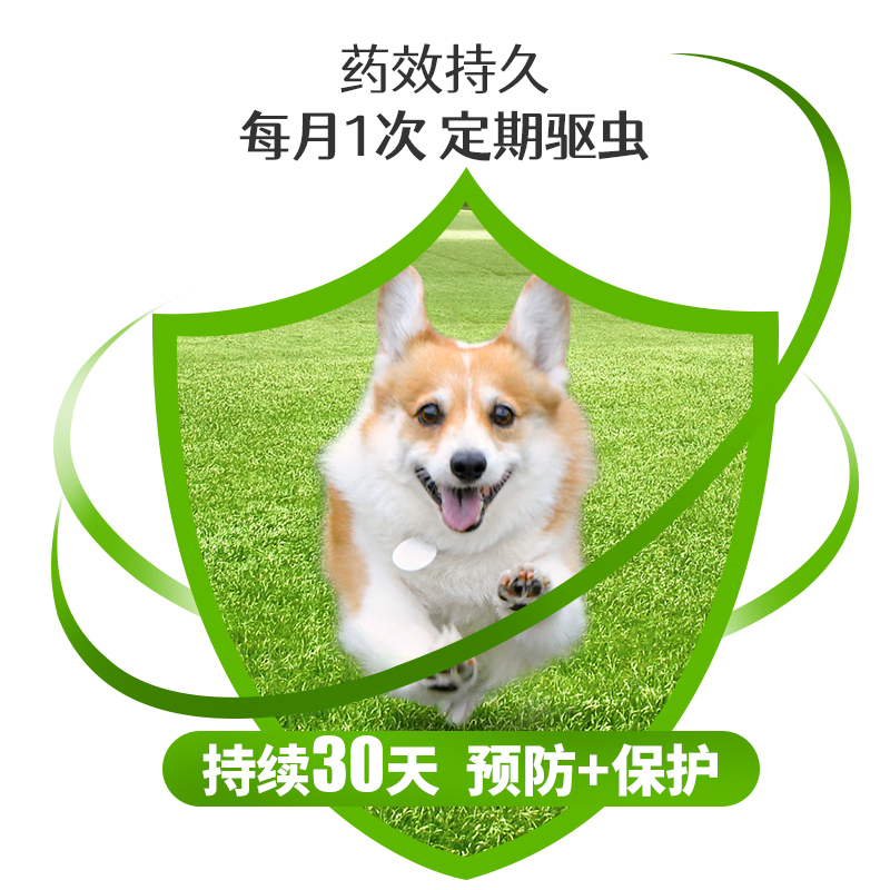 狗狗体内驱虫药泰迪金毛宠物专用中小大型犬驱虫药阿苯达唑片内服 - 图1