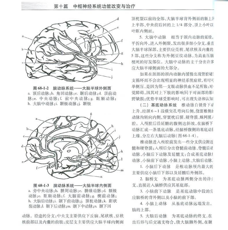 现货速发临床实用重症医学第二版刘大为实用重症书籍危重症医学教程急诊医学实用适于重症医学内科学急诊科医师实用参考书-图2