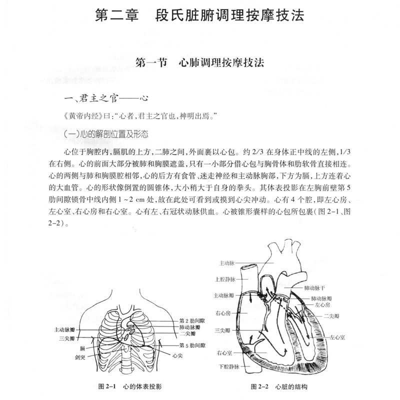 正版2本 段氏脏腑按摩技法+ 段氏脏腑按摩疗法 段朝阳著 中医治疗慢性疾病脏腑机能推拿按摩疗法书籍 科学技术文献出版社 - 图2