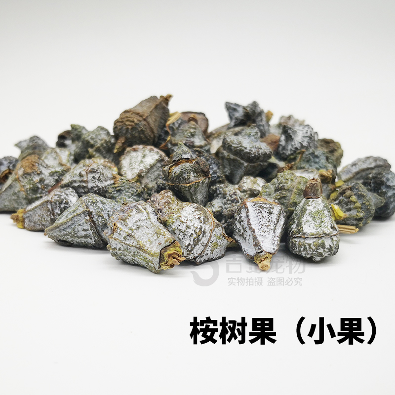 蜜袋鼯用品桉树叶枝桉叶树叶臭虫蜜袋鼬鼬鼠祛味驱虫生活用品全套-图1