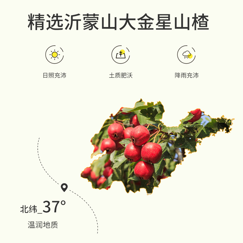 沂蒙公社无添加山楂棒棒糖原味0蔗糖添加儿童零食独立小包装500g - 图2