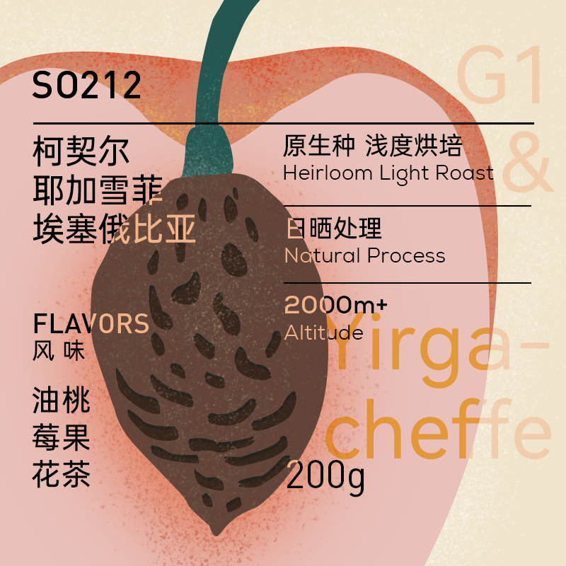 埃塞系列耶加雪菲新鲜烘焙手冲咖啡豆柯契尔小山羊