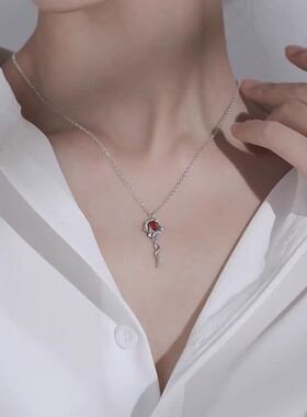 925纯银无人区玫瑰项链女暗黑小众新款红锆石锁骨链2025爆款经理
