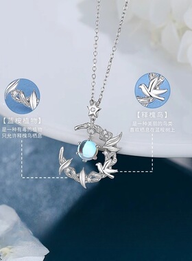 2025新款蓝桉与鸟S925纯银月光石项链女生韩版轻奢小众银饰锁骨链