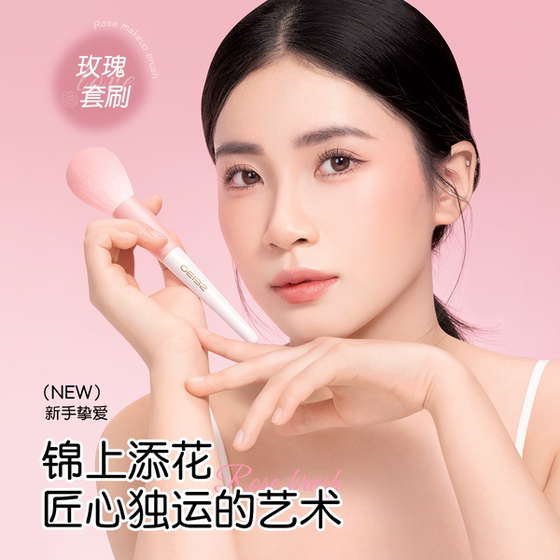 Makeup brush set recommended for beginners