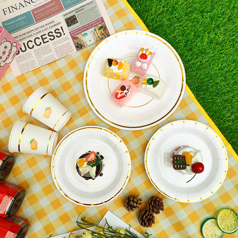 野餐盘一次性餐盘儿童生日派对春游户外网红野餐餐具蛋糕盘子纸盘,淘宝优惠券,粉丝福利购,淘宝优惠卷