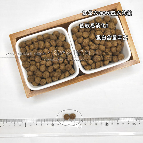 NOW无谷天然成犬狗粮宠物营养益生菌无谷鸭肉三文鱼犬粮6/12/25磅 - 图1