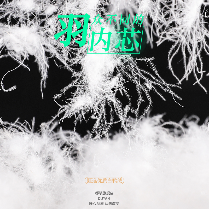芮贝拉旗舰店轻薄羽绒服女新款短款立领连帽时尚修身秋冬大码外套反季促销0