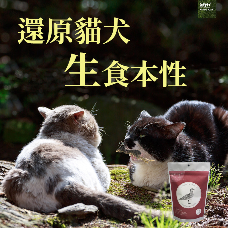 然也冻干鹌鹑抖音网红小鹌鹑补钙发腮补充营养 冻干生骨肉猫零食,淘宝优惠券,粉丝福利购,淘宝优惠卷