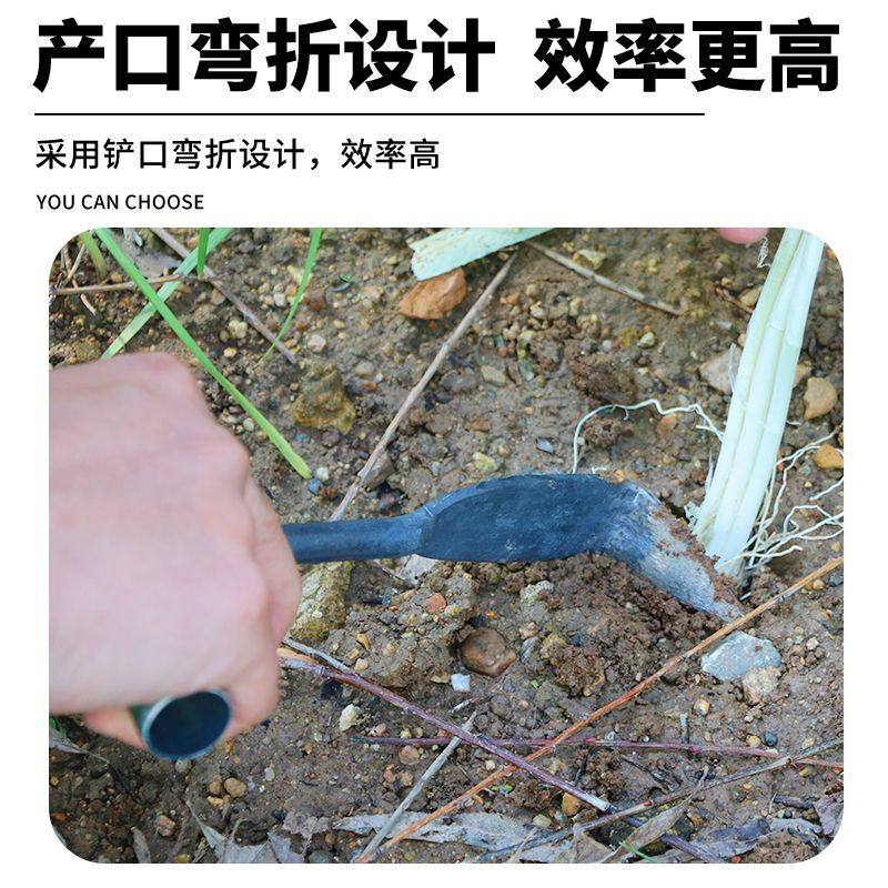 栽苗洋葱栽苗器栽洋葱苗工具种洋葱小铲子栽洋葱,淘宝优惠券,粉丝福利购,淘宝优惠卷