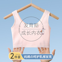 Girl lingerie hair growing period Pure cotton Tampon Girl Bra Early Primary School Student Girl Child Little Vest Winter