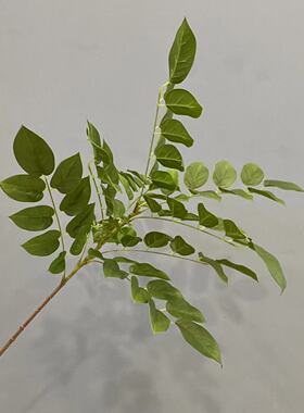 手感叶子仿真树叶番石榴枝条大树装饰品插花叶材花瓶插花装饰叶材