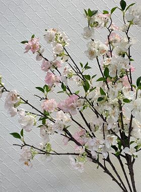 仿真海棠花苹果花杏花樱花绢花假花桃花家居装饰客厅摆饰影视道具