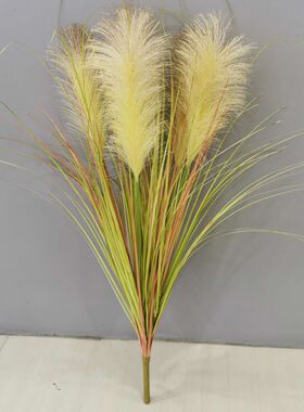 仿真芦苇草狗尾巴草水草干花假花粉色芦苇花客厅卧室落地橱窗装饰