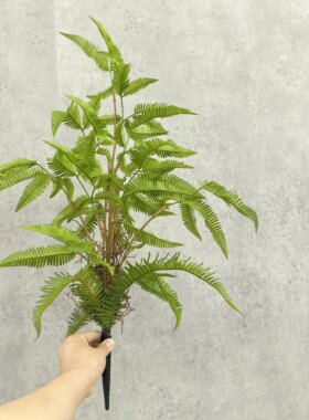 仿真芒萁蕨波斯草凤尾蕨金丝猴蕨类植物家居工程绿化景观布置拍摄