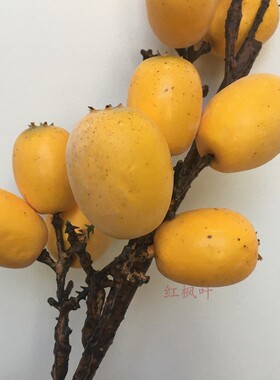 仿真枇杷果树枝假塑料水果家居摆放装饰楼盘样板间摆饰插花配材