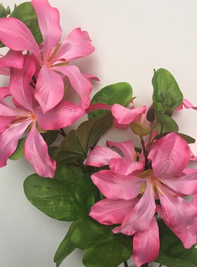长枝落地仿真假紫荆花摆放摄影婚礼庆表演道具可定做大型仿真树
