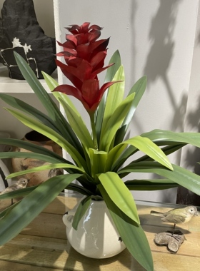鸿运当头盆栽绿植高仿真手感软胶