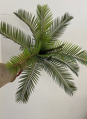 仿真绿植塑胶苏铁波斯蕨绿化景观装饰森系植物墙搭配绿叶蕨类植物