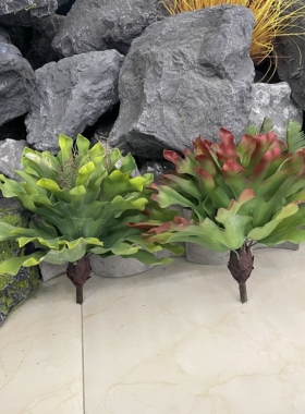 仿真热带雨林霸王鹿角蕨龙舌兰沙漠人造多肉植物落地绿植软装造景