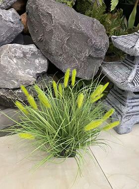 仿真花狗尾巴团毛毛虫团兔尾草软装设计造景庭院家居摆饰影视道具